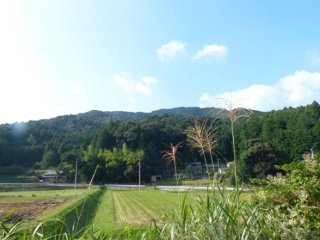 画像48